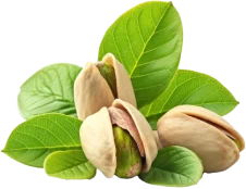 Green%20Koçak%20Foods