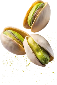 Green%20Koçak%20Foods